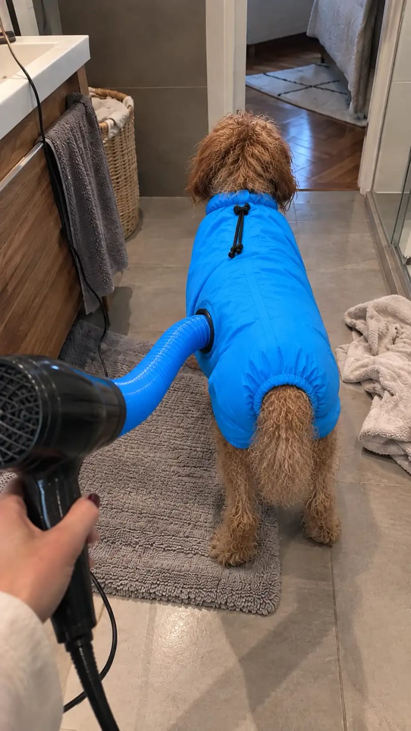 Customer review photo