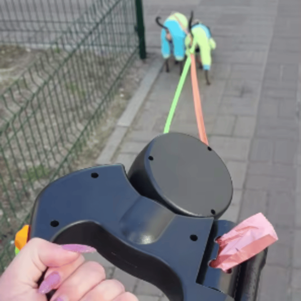 Dual Dog Leash with Tangle-Free Swivel & LED Light