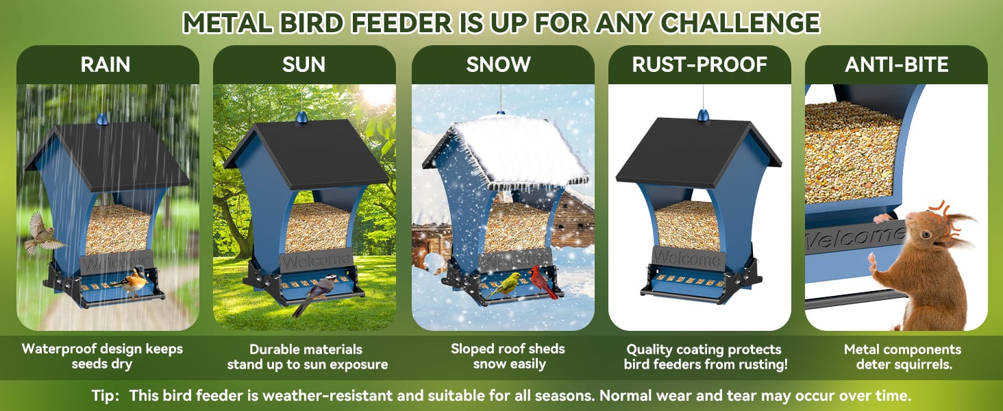 Weather Resistant Metal Bird Feeder