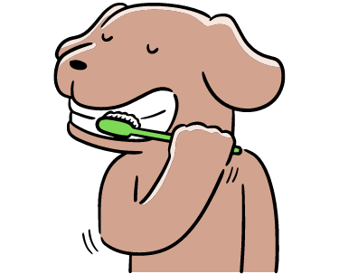 Dog-Toothbrush-Toy