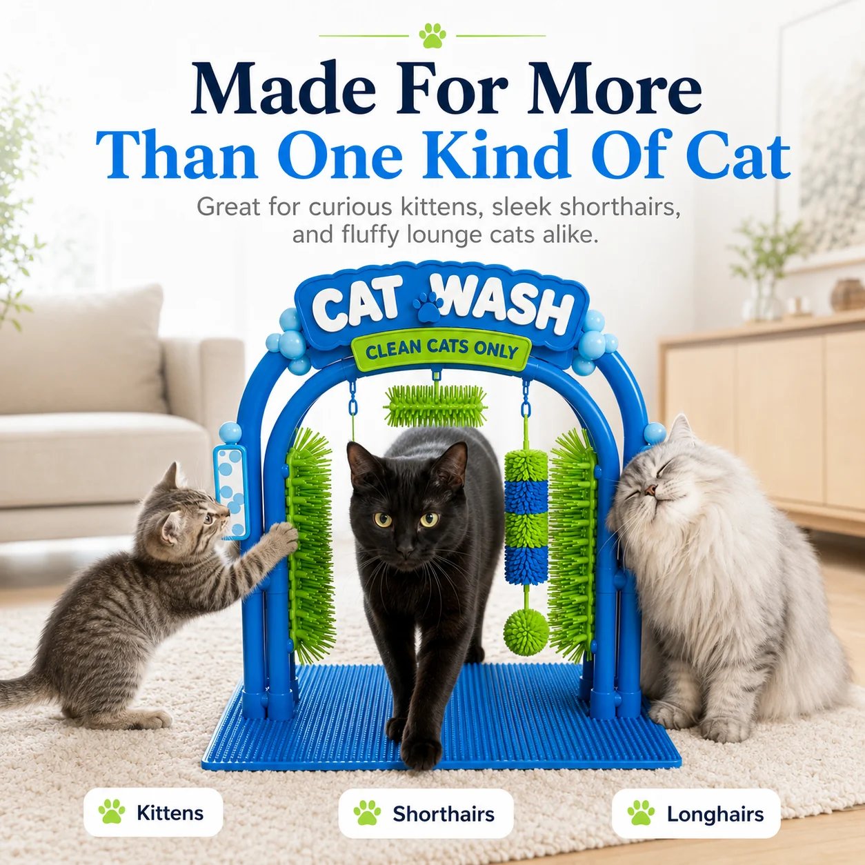 Kitten black shorthair and fluffy longhair cats using grooming station
