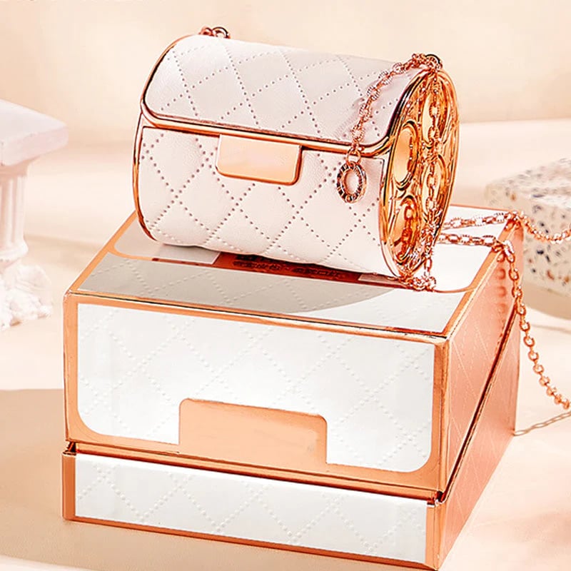 Luxury lipstick set in fashionable bag Signifye