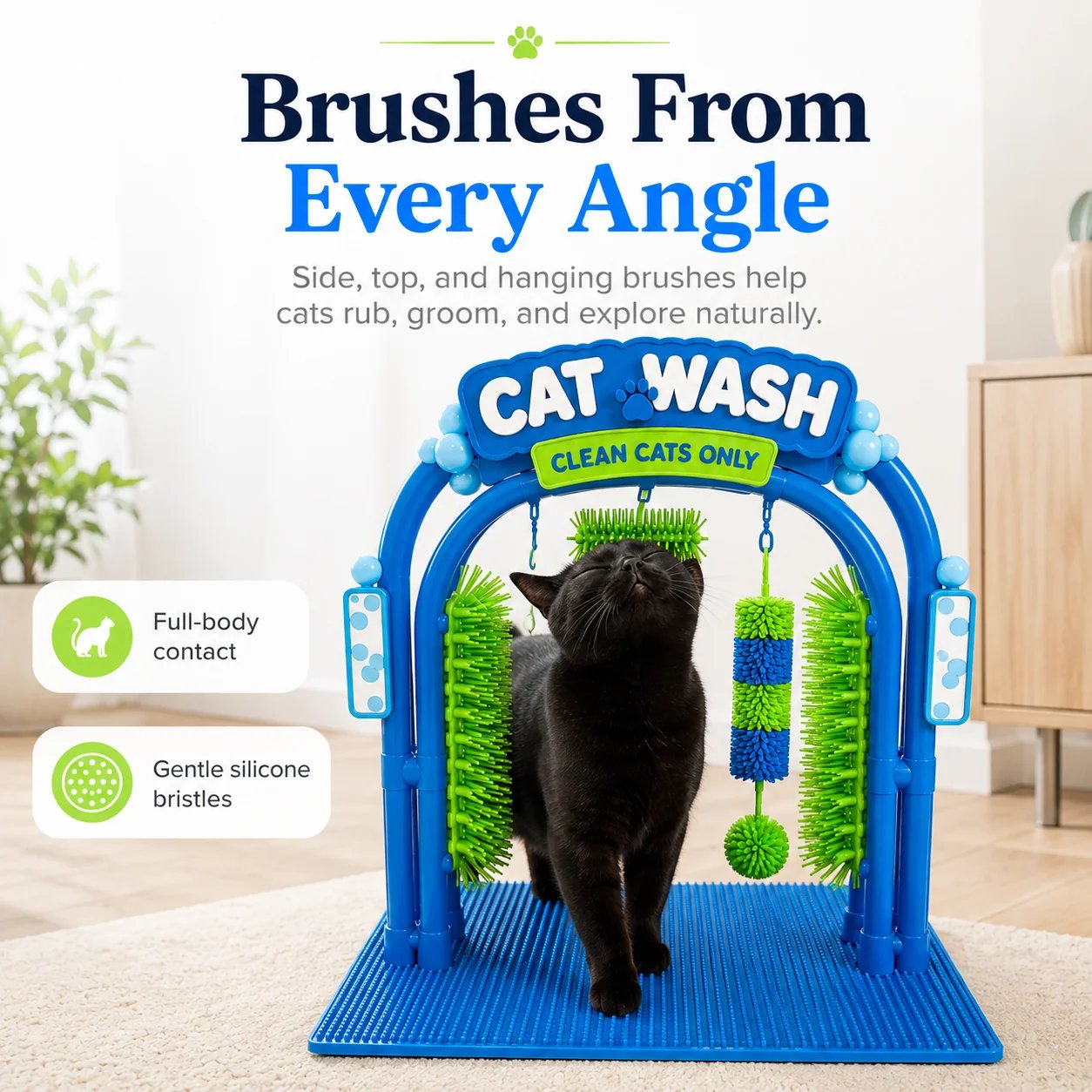 Black cat making contact with side and overhead brushes in self grooming arch