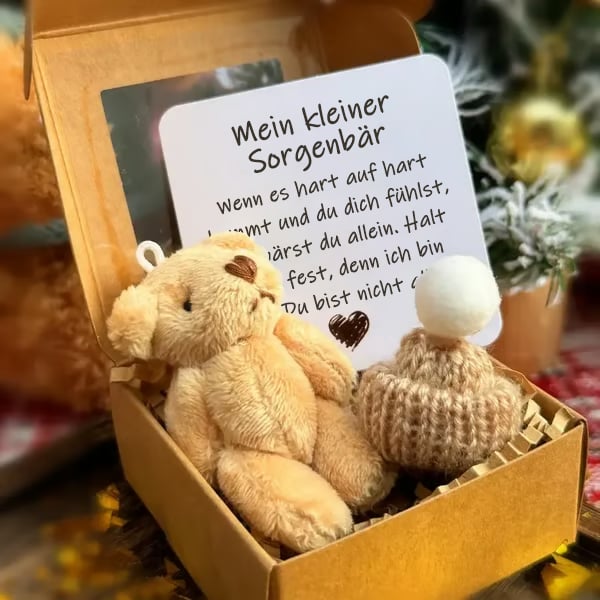 🎁Handgemachter Mini-Plüsch-Teddybär in Box
