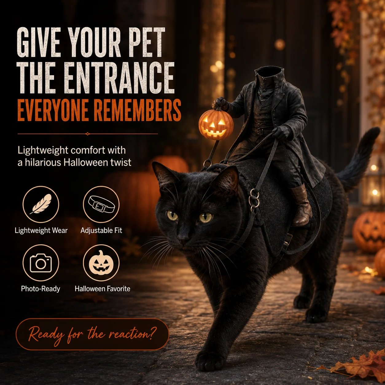 Headless Horseman pet costume detail
