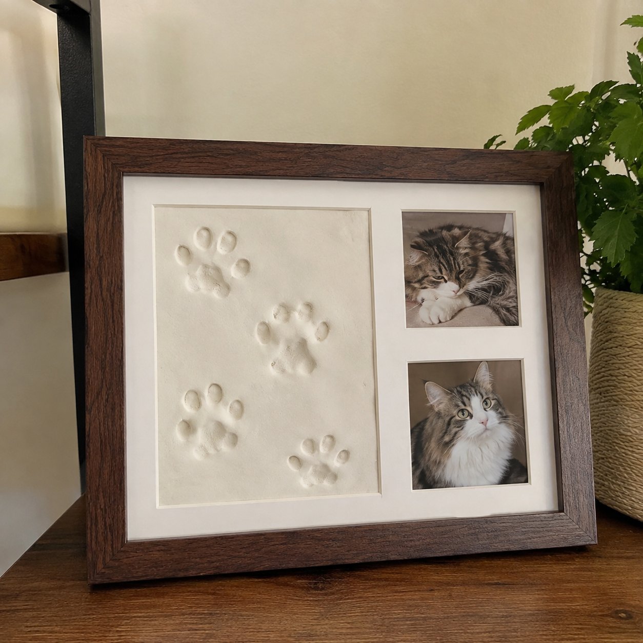 Customer Review Photo 2