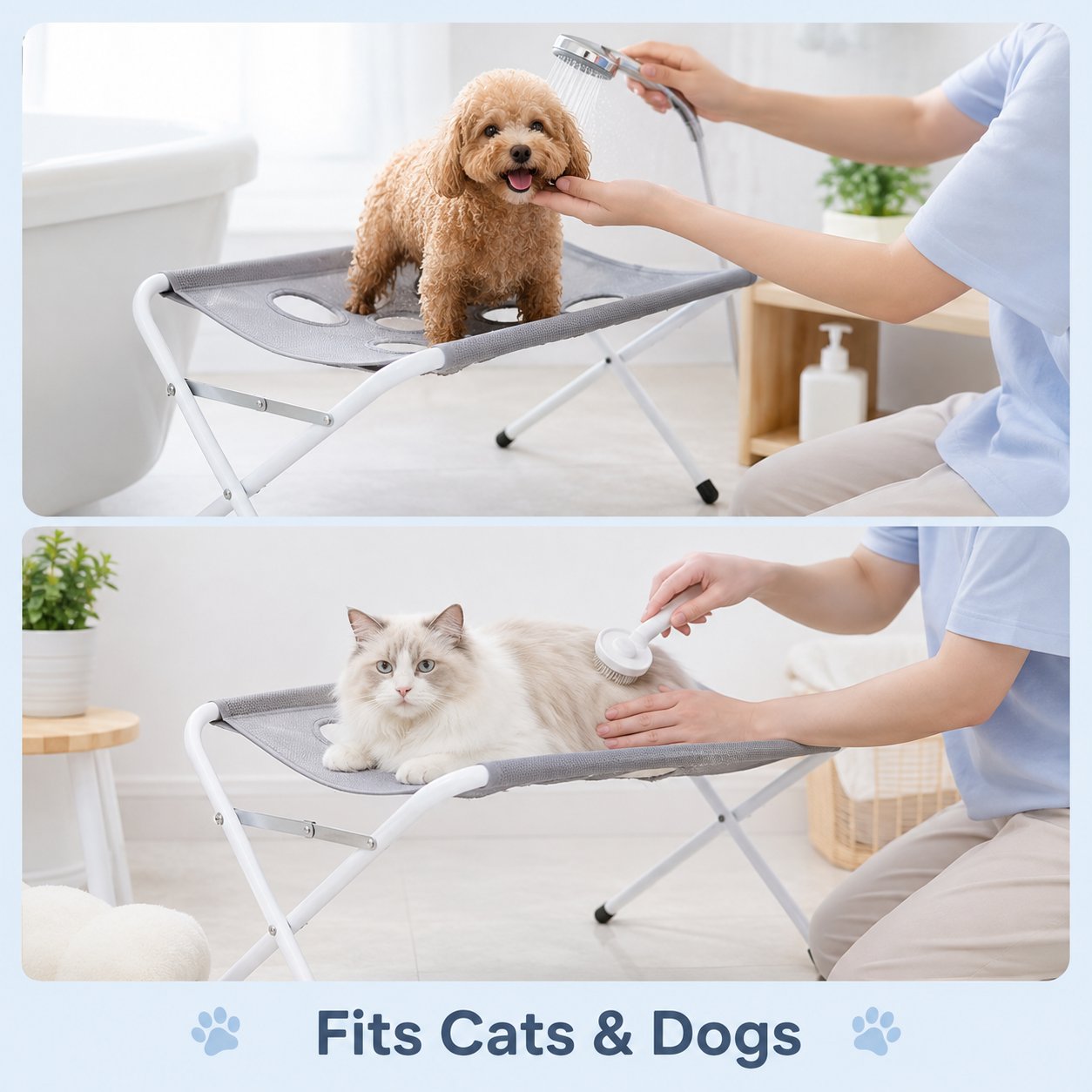 Fits Cats & Dogs Of Different Sizes