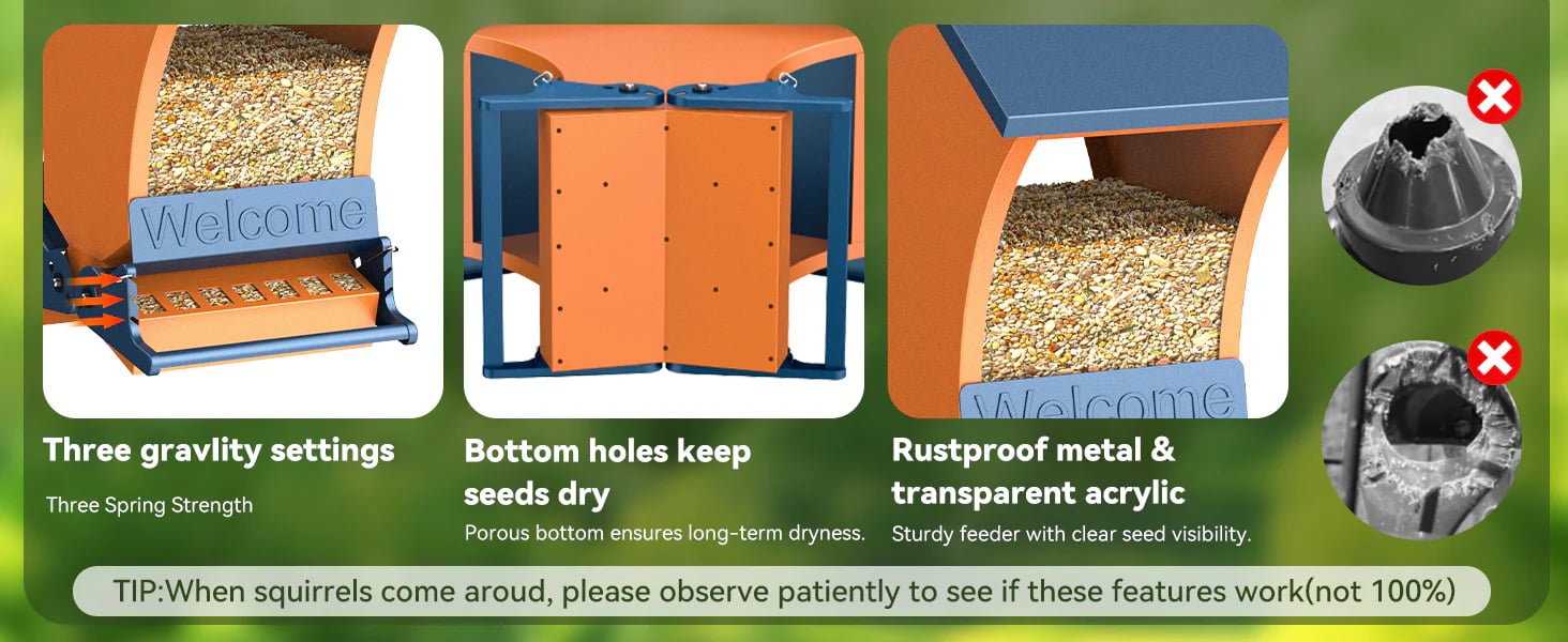 Outdoor bird feeder