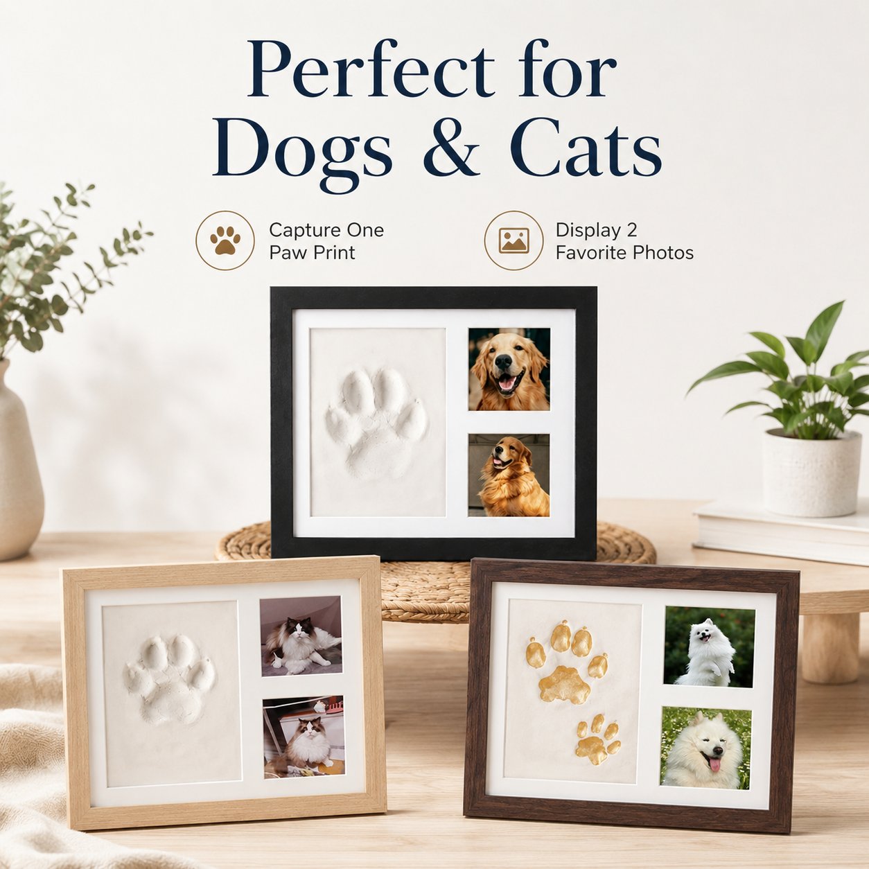 Paw Print and Favorite Photos