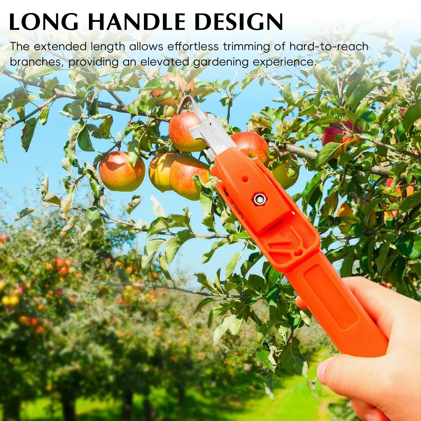 Berry Picking Tools