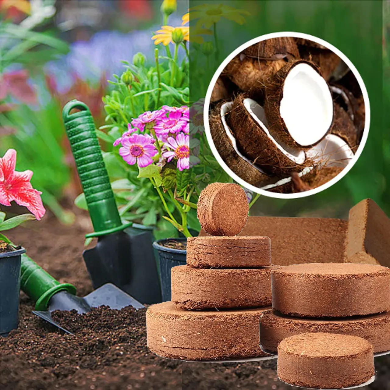 Spring Brick Spring Hot Sale 49% OFF - Premium Organic Coconut Coir Bricks for ...