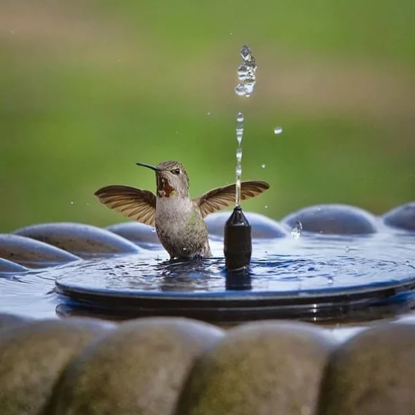 Solar bird bath fountain with interchangeable spray nozzles