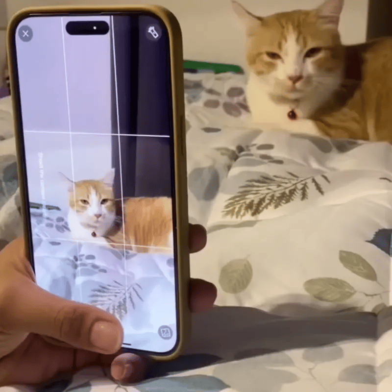 Portable photo printer with printed images and graphics. Portable photo printer with printed images and graphics.