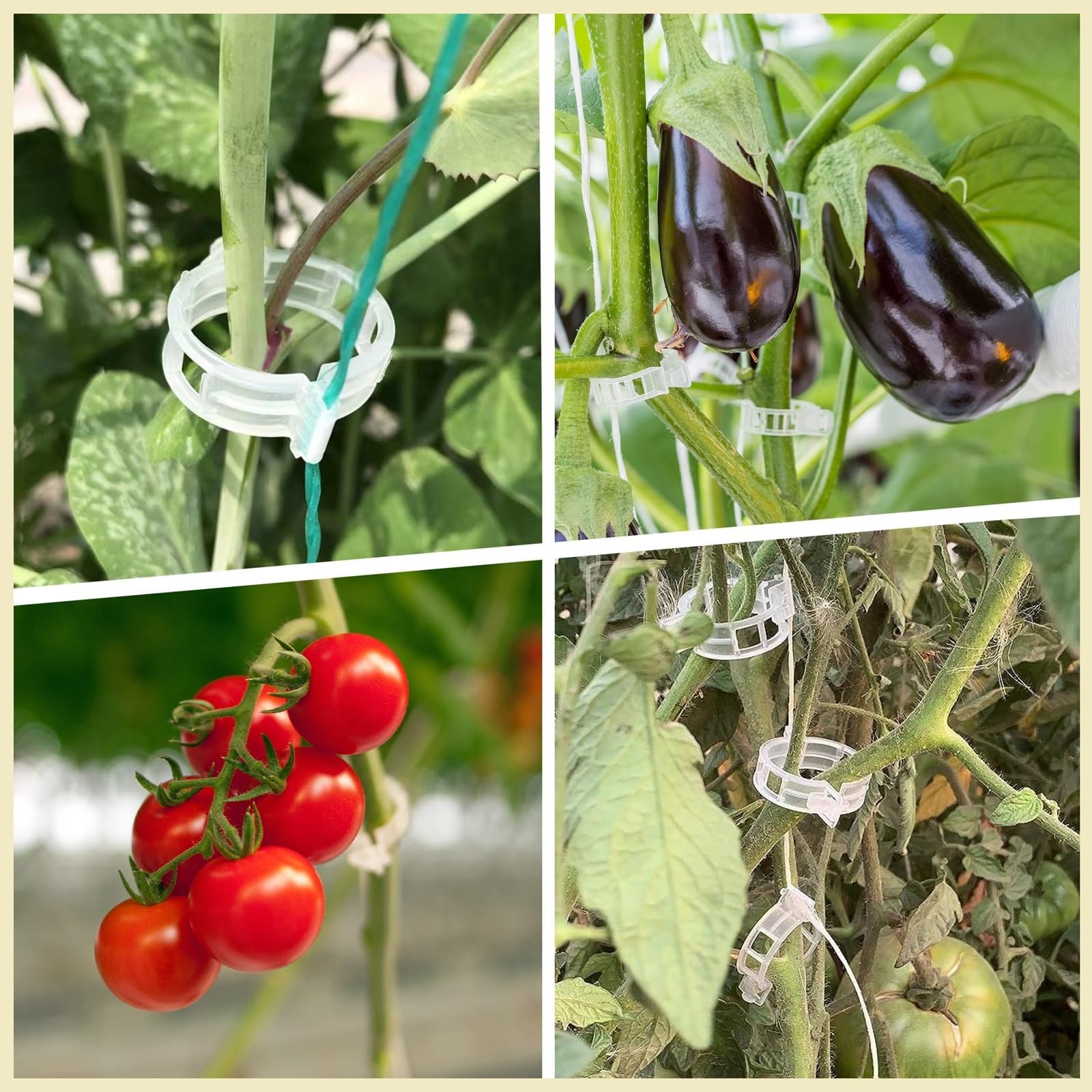 Multi-Plant Usage