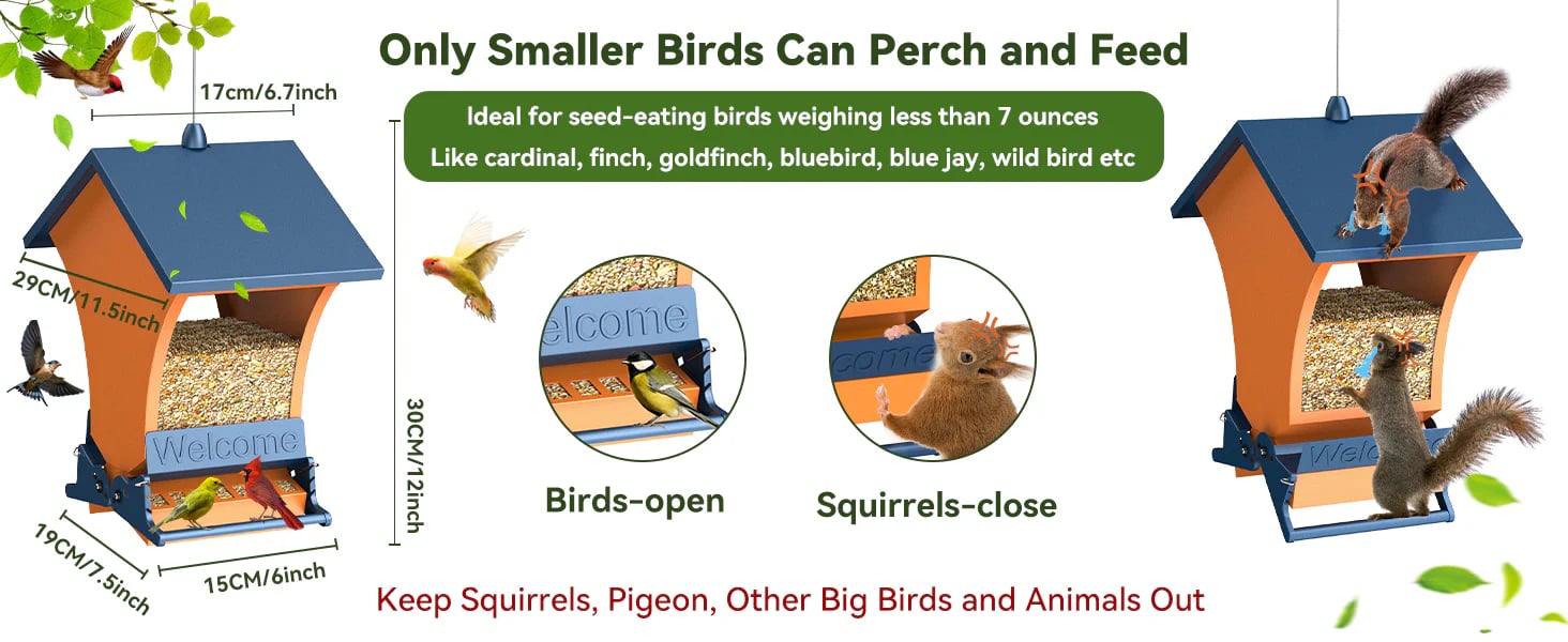 Squirrel resistant bird feeder