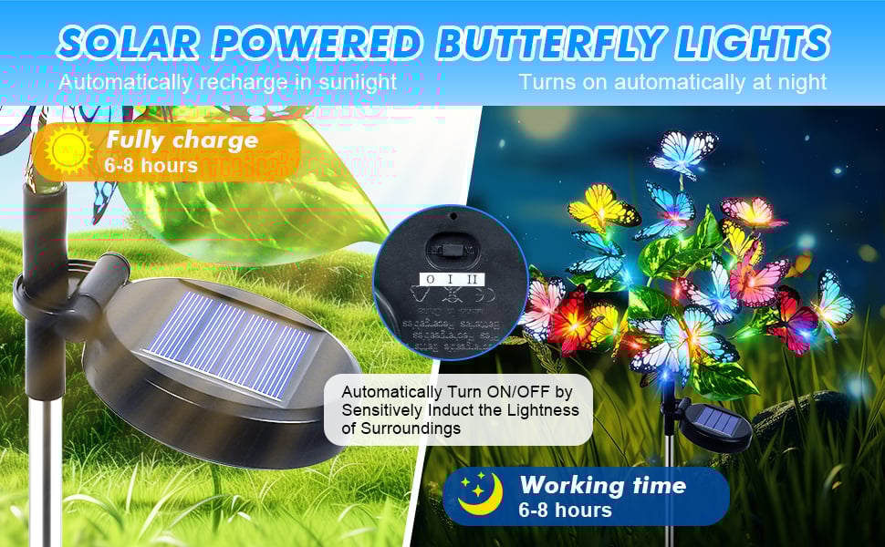 solar lights outdoor