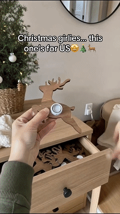 Reindeer Light Decor Main Showcase