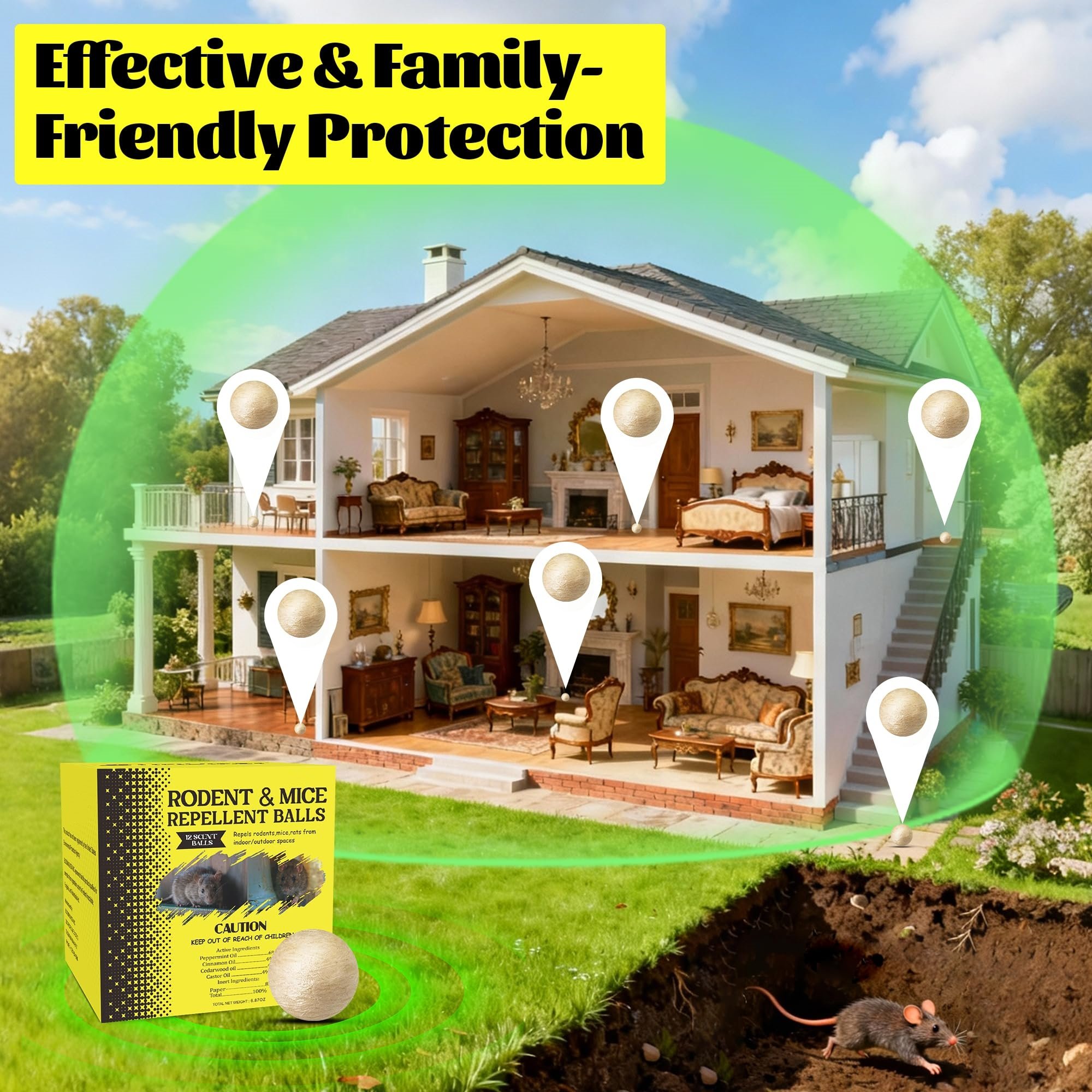 Whole House Protection