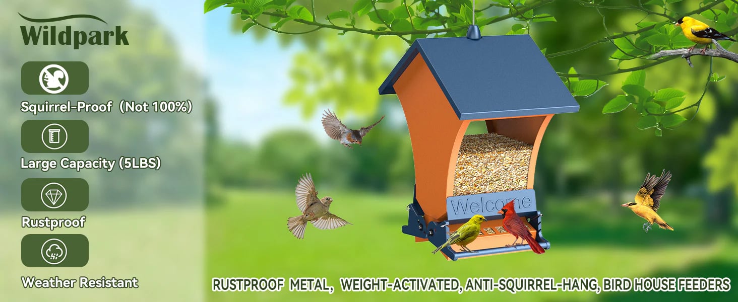 Backyard bird feeder