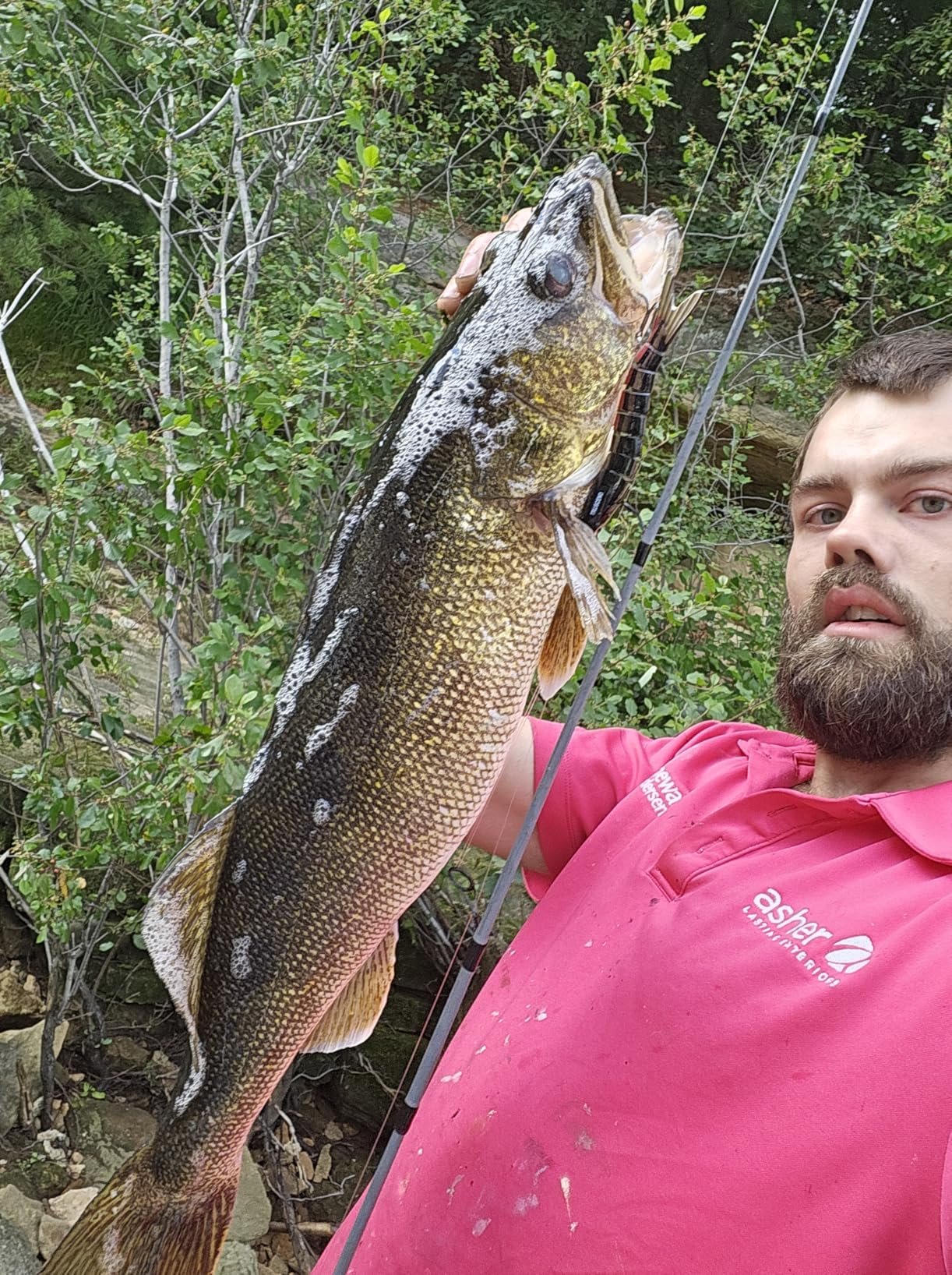 Great fishing lure Great fishing lure