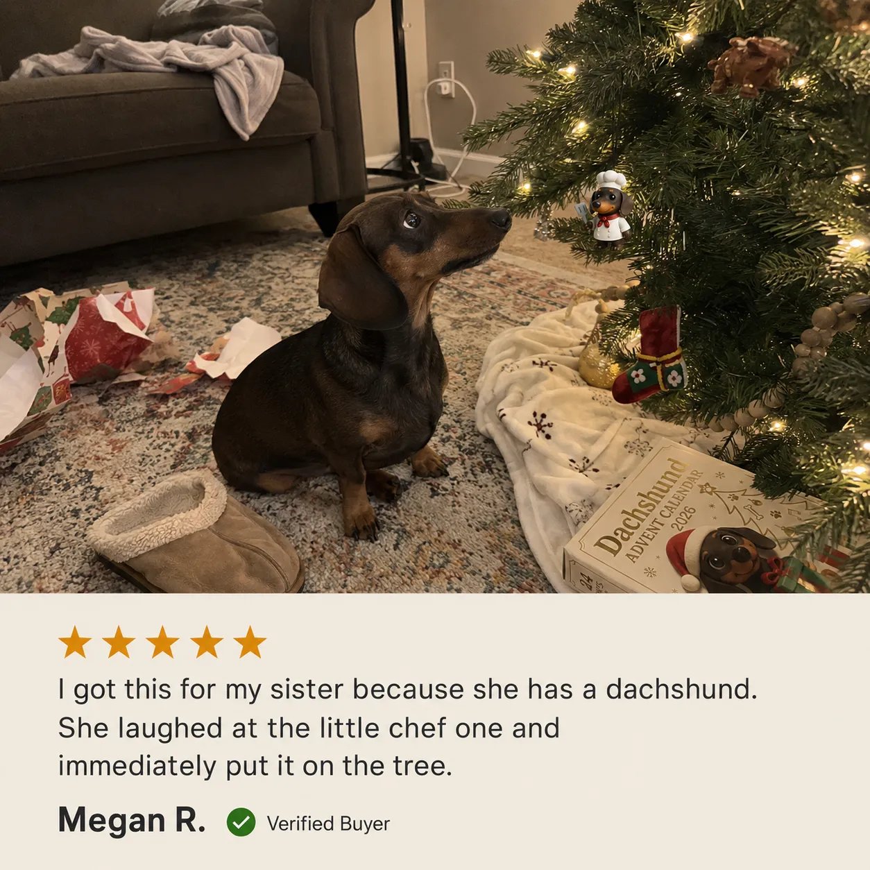 Verified customer review from a dachshund family
